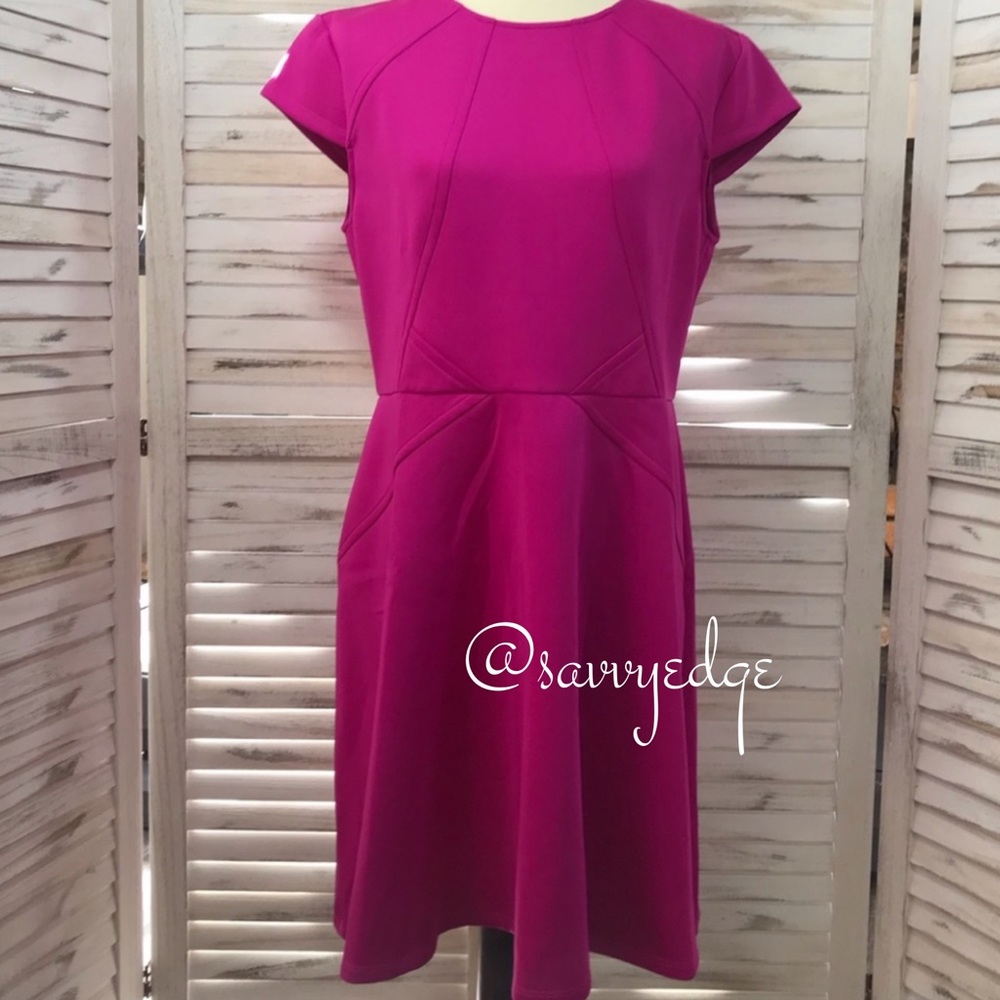 Ted Baker Cap Sleeve Skater Dress